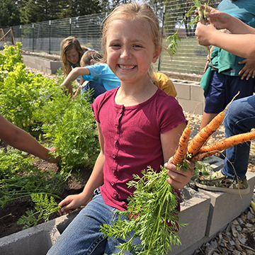 Female smiling and student holding a bunch of freshly picked carrots